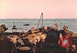 Image Bataille d'Iwo Jima Iwo Jima, 1945, de la seconde 44 séquences d'archives historiques vidéo 65675062120