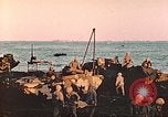 Image Bataille d'Iwo Jima Iwo Jima, 1945, de la seconde 45 séquences d'archives historiques vidéo 65675062120
