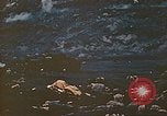 Image of Battle of Iwo Jima Iwo Jima, 1945, second 4 stock footage video 65675062122