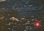 Image of Battle of Iwo Jima Iwo Jima, 1945, second 5 stock footage video 65675062122