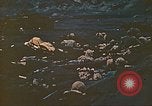 Image of Battle of Iwo Jima Iwo Jima, 1945, second 7 stock footage video 65675062122