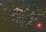 Image of Battle of Iwo Jima Iwo Jima, 1945, second 8 stock footage video 65675062122