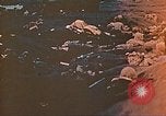 Image of Battle of Iwo Jima Iwo Jima, 1945, second 9 stock footage video 65675062122