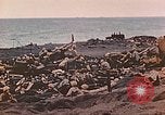 Image of Battle of Iwo Jima Iwo Jima, 1945, second 34 stock footage video 65675062122
