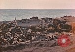 Image of Battle of Iwo Jima Iwo Jima, 1945, second 38 stock footage video 65675062122