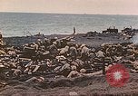 Image of Battle of Iwo Jima Iwo Jima, 1945, second 46 stock footage video 65675062122