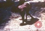 Image of Japanese natives Iwo Jima, 1945, second 6 stock footage video 65675062135
