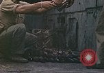 Standbild Schlacht von Iwo Jima Iwo Jima, 1945, aus Sekunde 24 historischem Filmmaterial Videoclip 65675062141