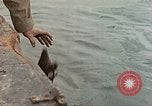 Image Bataille d'Iwo Jima Iwo Jima, 1945, de la seconde 30 séquences d'archives historiques vidéo 65675062143