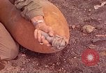Image Bataille d'Iwo Jima Iwo Jima, 1945, de la seconde 61 séquences d'archives historiques vidéo 65675062146