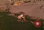 Image Bataille d'Iwo Jima Iwo Jima, 1945, de la seconde 12 séquences d'archives historiques vidéo 65675062148