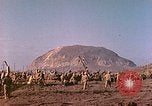 Image Bataille d'Iwo Jima Iwo Jima, 1945, de la seconde 35 séquences d'archives historiques vidéo 65675062148