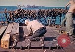 Image of U.S. Coast Guardsmen perform maintenance on LST  Iwo Jima, 1945, second 36 stock footage video 65675062154
