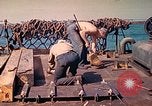 Image of U.S. Coast Guardsmen perform maintenance on LST  Iwo Jima, 1945, second 46 stock footage video 65675062154