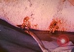 Image Bataille d'Iwo Jima Iwo Jima, 1945, de la seconde 16 séquences d'archives historiques vidéo 65675062155