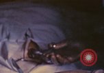Image Bataille d'Iwo Jima Iwo Jima, 1945, de la seconde 61 séquences d'archives historiques vidéo 65675062155