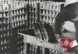Image peuple allemand Allemagne, 1944, de la seconde 44 séquences d'archives historiques vidéo 65675062177