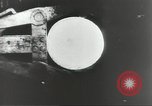 Image of German men Germany, 1944, second 35 stock footage video 65675062178
