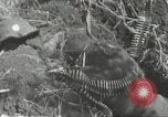 Immagine di Danni di guerra Fronte russo, 1944, secondo 25 filmato di repertorio 65675062180