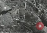 Immagine di Danni di guerra Fronte russo, 1944, secondo 27 filmato di repertorio 65675062180