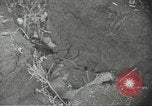 Immagine di Danni di guerra Fronte russo, 1944, secondo 28 filmato di repertorio 65675062180