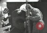 Immagine di Danni di guerra Fronte russo, 1944, secondo 33 filmato di repertorio 65675062180