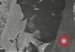 Immagine di Danni di guerra Fronte russo, 1944, secondo 36 filmato di repertorio 65675062180