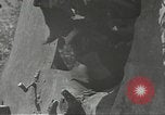 Immagine di Danni di guerra Fronte russo, 1944, secondo 37 filmato di repertorio 65675062180