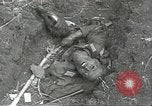 Immagine di Danni di guerra Fronte russo, 1944, secondo 47 filmato di repertorio 65675062180