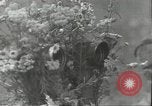 Image of Russian soldiers Russian Front, 1944, second 4 stock footage video 65675062181