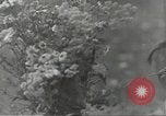 Image of Russian soldiers Russian Front, 1944, second 24 stock footage video 65675062181