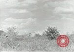 Image of Russian soldiers Russian Front, 1944, second 50 stock footage video 65675062181