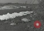 Immagine di La sepoltura dei cadaveri Nettuno Italia, 1944, secondo 1 filmato di repertorio 65675062183