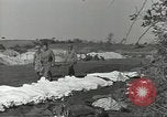 Immagine di La sepoltura dei cadaveri Nettuno Italia, 1944, secondo 9 filmato di repertorio 65675062183