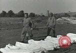Immagine di La sepoltura dei cadaveri Nettuno Italia, 1944, secondo 14 filmato di repertorio 65675062183