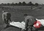 Immagine di La sepoltura dei cadaveri Nettuno Italia, 1944, secondo 26 filmato di repertorio 65675062183