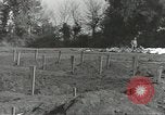 Immagine di La sepoltura dei cadaveri Nettuno Italia, 1944, secondo 41 filmato di repertorio 65675062183