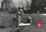 Immagine di La sepoltura dei cadaveri Nettuno Italia, 1944, secondo 53 filmato di repertorio 65675062183