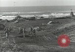 Image États-Unis Ingénieurs Regiment Nettuno Italie, 1944, de la seconde 29 séquences d'archives historiques vidéo 65675062184