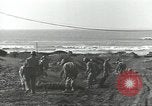 Image États-Unis Ingénieurs Regiment Nettuno Italie, 1944, de la seconde 39 séquences d'archives historiques vidéo 65675062184