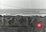 Image États-Unis Ingénieurs Regiment Nettuno Italie, 1944, de la seconde 44 séquences d'archives historiques vidéo 65675062184