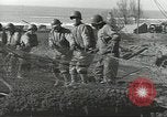 Image États-Unis Ingénieurs Regiment Nettuno Italie, 1944, de la seconde 60 séquences d'archives historiques vidéo 65675062184