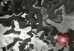 Image of bombing of Palau Island Palau Islands, 1944, second 31 stock footage video 65675062192