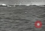 Standbild USA Schlachtschiffe Hampton Roads Virginia USA, 1939, aus Sekunde 55 historischem Filmmaterial Videoclip 65675062204