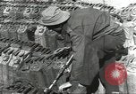 Immagine di Soldati statunitensi Bad Nauheim Germania, 1945, secondo 10 filmato di repertorio 65675062215