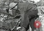 Immagine di Soldati statunitensi Bad Nauheim Germania, 1945, secondo 16 filmato di repertorio 65675062215