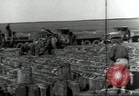 Immagine di Soldati statunitensi Bad Nauheim Germania, 1945, secondo 24 filmato di repertorio 65675062215