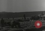 Image of United States soldiers Bad Nauheim Germany, 1945, second 25 stock footage video 65675062217