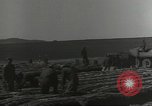 Image of United States soldiers Bad Nauheim Germany, 1945, second 30 stock footage video 65675062217