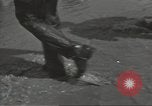 Image of United States soldiers establishing positions on Guam Guam Mariana Islands, 1944, second 53 stock footage video 65675062233
